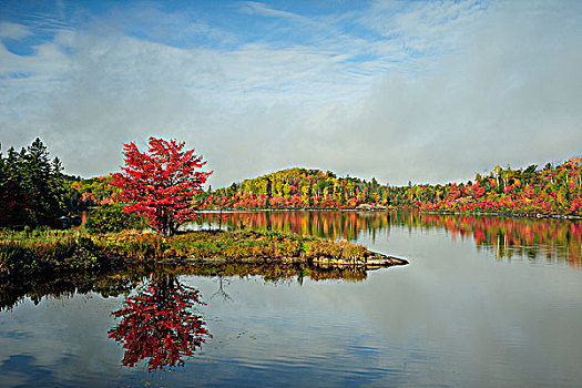 秋天,反射,湖,萨德伯里,安大略省,加拿大