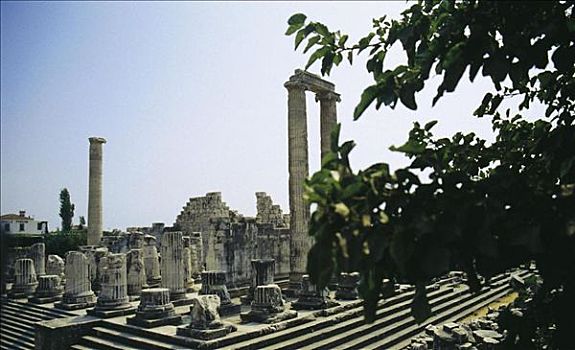 发掘地,阿波罗神庙,土耳其,欧洲