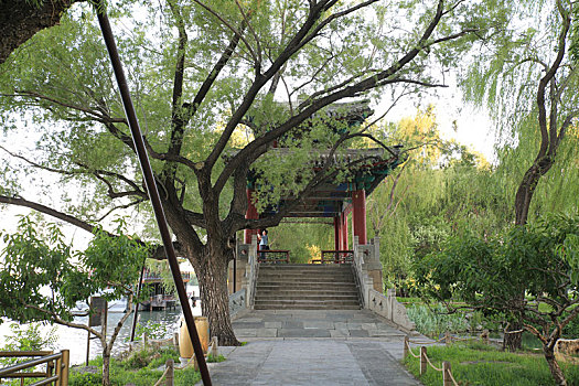 北京皇家园林颐和园西堤六桥豳风桥