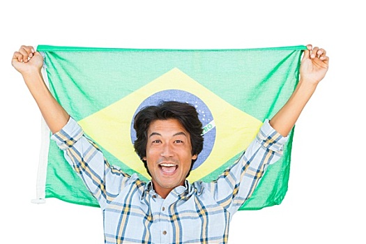球迷,拿着,巴西,旗帜,欢呼