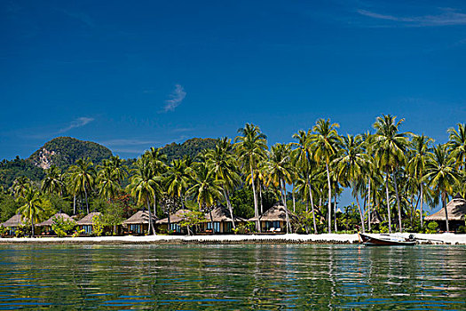 酒店,棕榈树,海滩,苏梅岛,胜地,岛屿,泰国,东南亚,亚洲