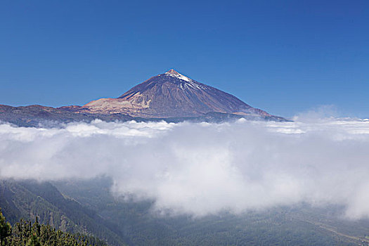 火山,泰德峰,高处,云,特内里费岛,加纳利群岛,西班牙,欧洲
