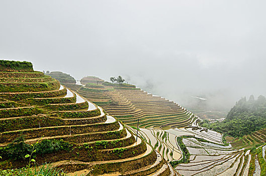 金坑梯田