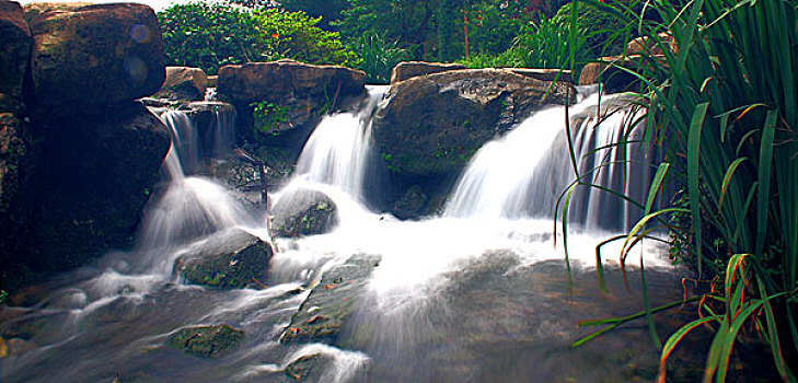 浙江杭州西湖风景区龙井问茶