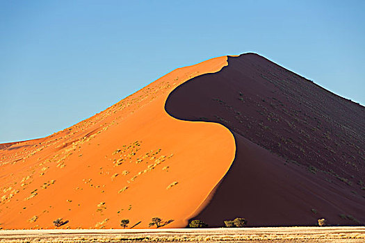 干燥,风景,高,沙丘,索苏维来地区,纳米比亚