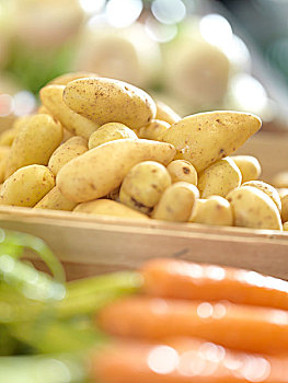 土豆,胡萝卜,展示,农贸市场