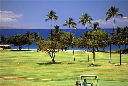 夏威夷,毛伊岛,胜地,北方,场地,男人,高尔夫球车,海洋,背景