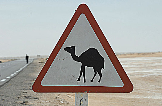 阿尔及利亚,骆驼,穿过,标识