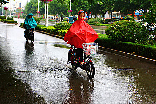 下雨天气市民出行图