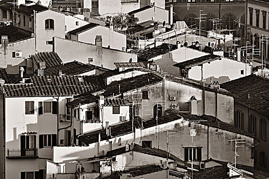屋顶,老,建筑,佛罗伦萨,意大利,黑白