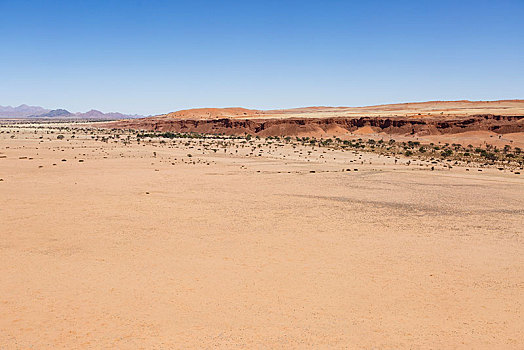 航拍,石化,沙丘,纳米布沙漠,住宿,纳米比诺克陆夫国家公园,纳米比亚,非洲