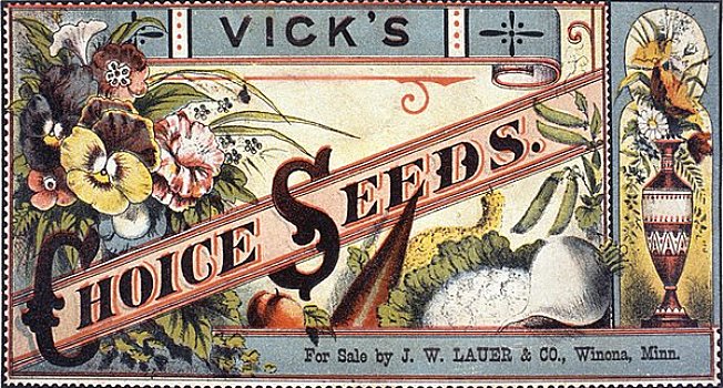 选择,种子,交易,卡,美国,伊利诺斯,芝加哥,图书馆,19世纪