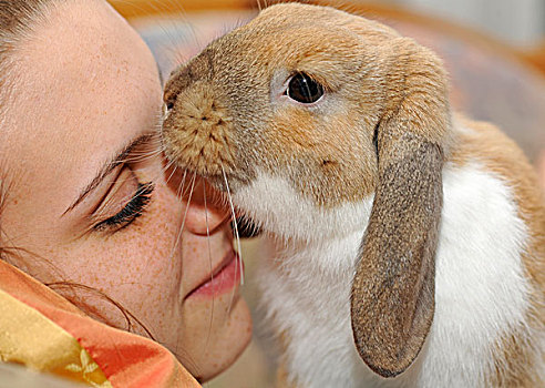 女孩,兔子,迷你兔,喜爱,动物