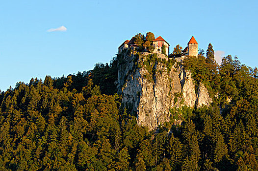 斯洛文尼亚,流血,布莱德湖,城堡,山顶