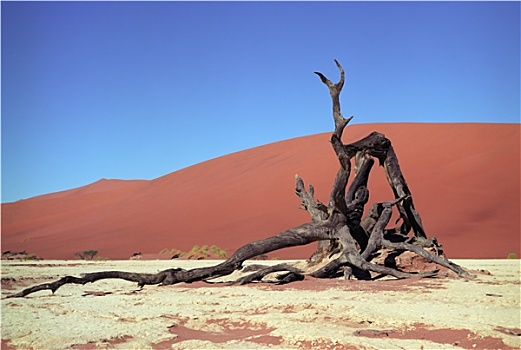 纳米布沙漠,纳米比亚