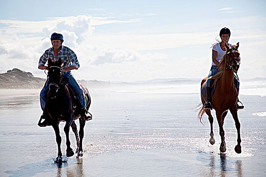 骑马,驰骋,海滩,奥克兰,新西兰