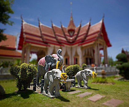 大象,雕塑,正面,查隆寺,庙宇,禁止,普吉岛,泰国,亚洲
