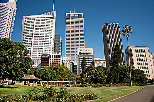 澳大利亚,悉尼,市区,城市天际线,风景,皇家植物园,大幅,尺寸