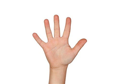 手掌,五个,手指