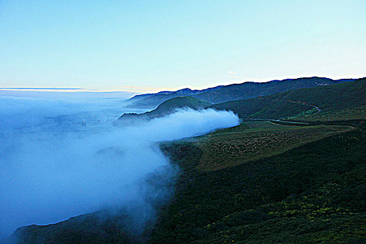 雾,海岸,太平洋海岸公路,大,加利福尼亚,美国