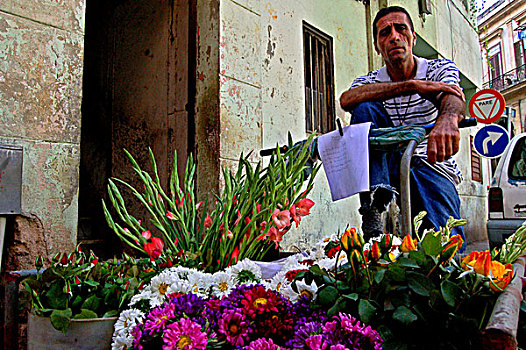 花,销售,哈瓦那,古巴,十一月,2007年,首都,港口,领导,商业中心,城市,一个,居民