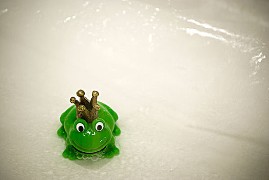 国王,青蛙