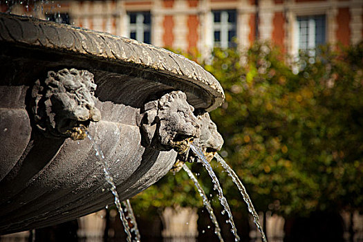 狮子,头部,喷泉,特写,巴黎,法国