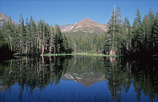山,反射,平静,湖,道路,内华达山脉,优胜美地国家公园,加利福尼亚,美国