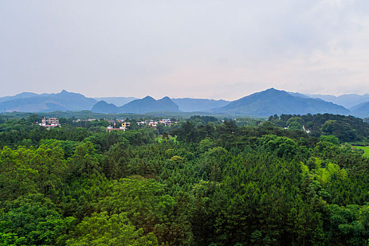 湘南田园风光