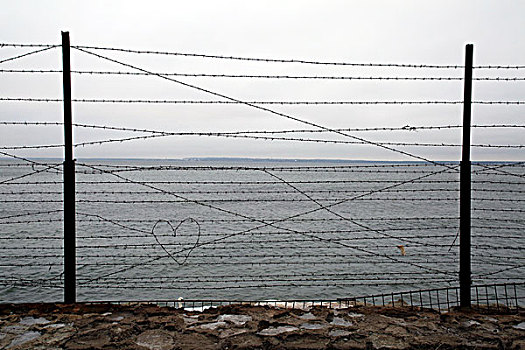 刺铁丝网,心形,栅栏,波罗的海