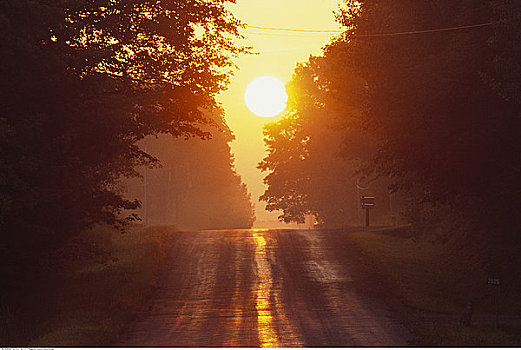 乡村道路,日落,曙光,安大略省,加拿大