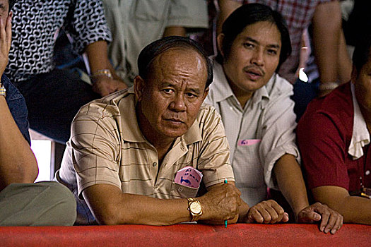 公鸡,争斗,泰国,一月,2007年