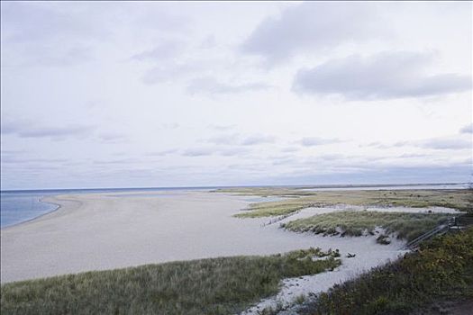 全景,海滩,科德角,马萨诸塞,美国