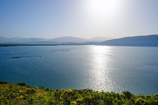 泻湖,国家公园,阿尔巴尼亚,欧洲
