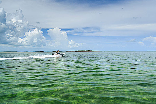 穿过,浅,清晰,水,佛罗里达礁岛群,道路,龙虾,猎捕,地面,佛罗里达,湾
