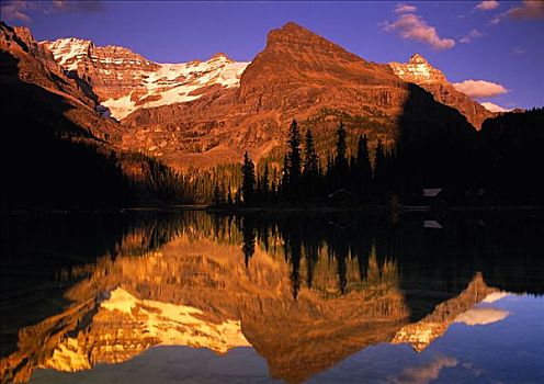 欧哈拉湖,树,山峦,幽鹤国家公园,不列颠哥伦比亚省,加拿大