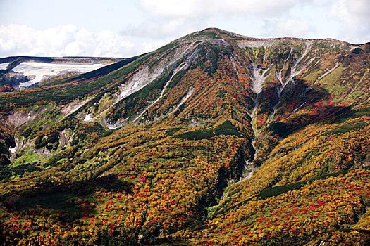 秋色,山