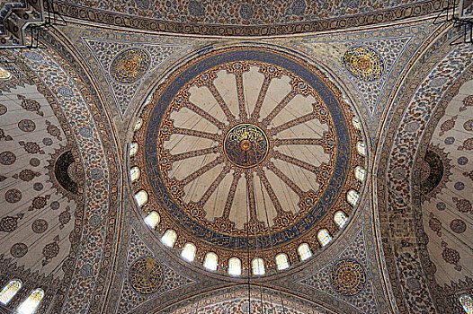 土耳其,伊斯坦布尔,蓝色清真寺,圆顶