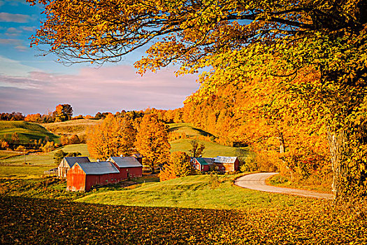 秋天,黎明,农场,靠近,南,佛蒙特州,美国