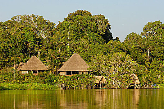 住宿,挨着,国家公园,亚马逊河,雨林,厄瓜多尔,南美