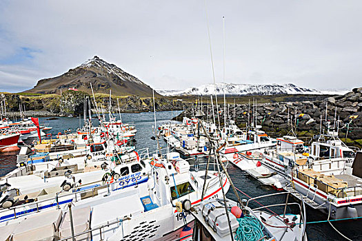 玄武岩,海岸,小,捕鱼,港口,冰岛,北欧,欧洲