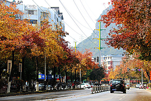 秋天的城市道路