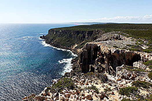 石灰石峭壁,国家,公园,西澳大利亚州