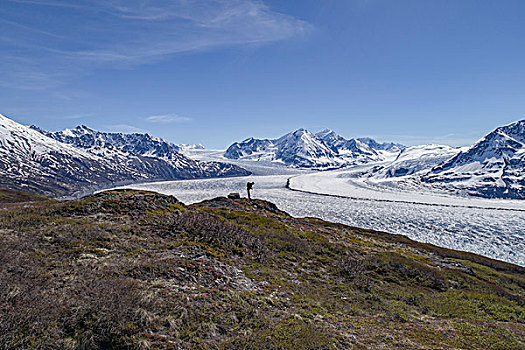 全身,远足,看,冰河,蓝天,阿拉斯加