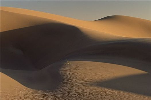 沙丘,南,纳米布沙漠,纳米比亚