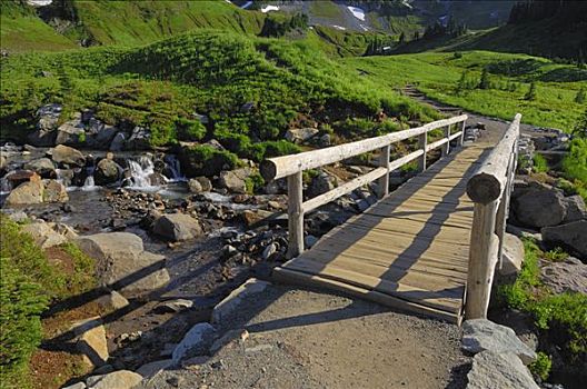 步行桥,雷尼尔山国家公园,皮尔斯县,喀斯喀特山脉,华盛顿,美国