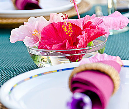 餐具摆放,木槿,花