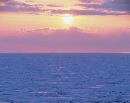 日出,海洋,冰