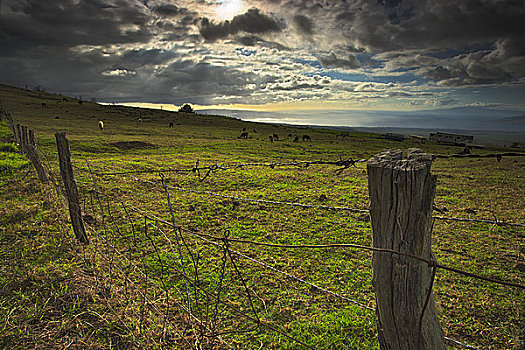 围栏,地点,毛伊岛,夏威夷,美国