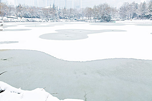 雪景